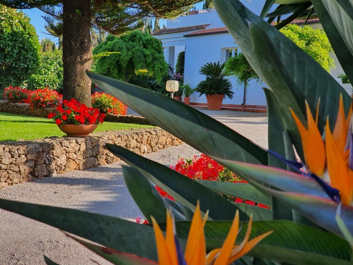 Arenosu a pochi Km dalle spiagge Fertilia Esterno foto