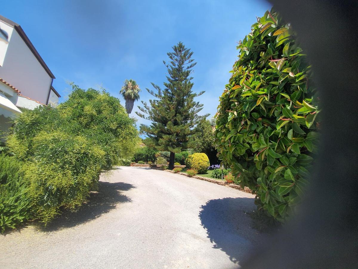 Arenosu a pochi Km dalle spiagge Fertilia Esterno foto