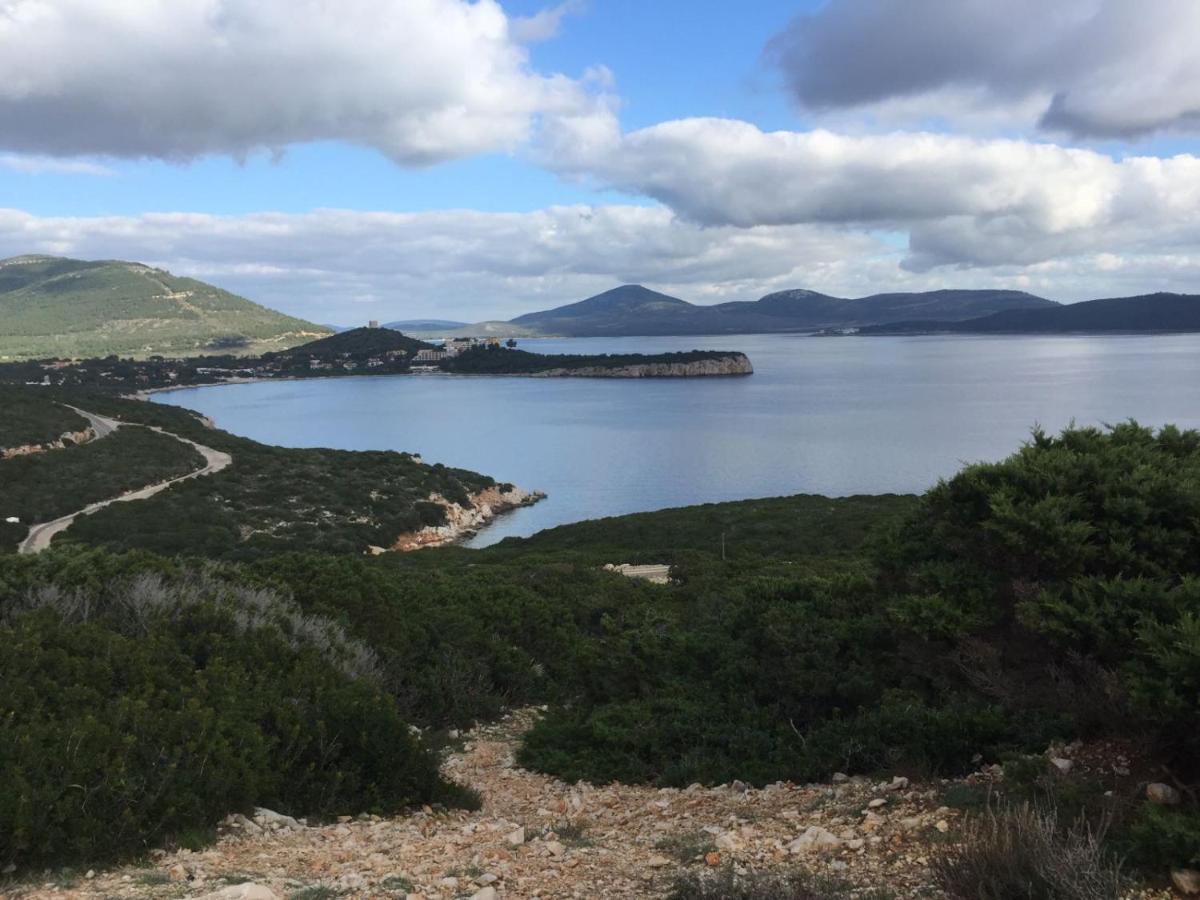 Arenosu a pochi Km dalle spiagge Fertilia Esterno foto